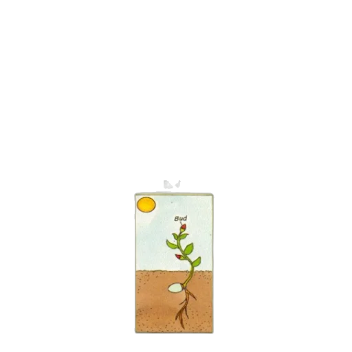 tree, jewelry, staff, bottle transparent PNG cut-out