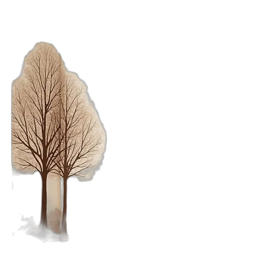 tree, hair, crown, umbrella transparent PNG cut-out