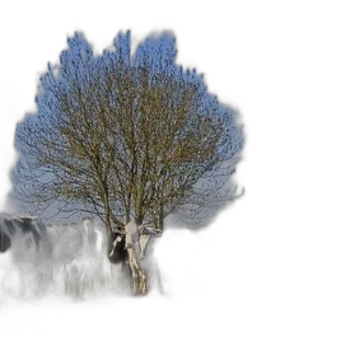 tree, hair, creature, animal transparent PNG cut-out
