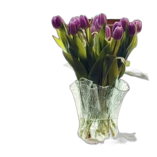 flower, crown, jewelry, furniture transparent PNG cut-out