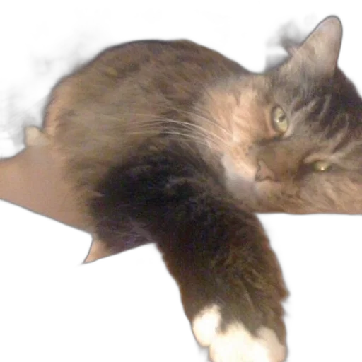 creature, animal, dragon, staff transparent PNG cut-out