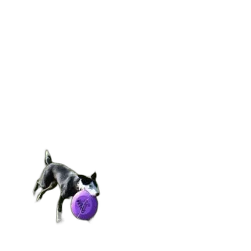animal, creature, staff, weapon transparent PNG cut-out