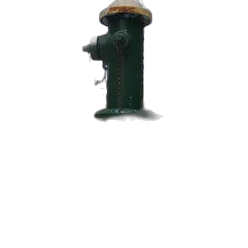 bottle, staff, umbrella, weapon transparent PNG cut-out