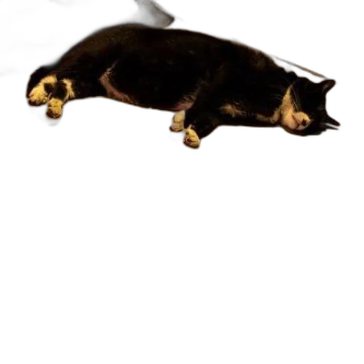 animal, staff, creature, weapon transparent PNG cut-out