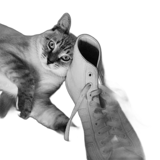 shoes, animal, weapon, photorealistic transparent PNG cut-out
