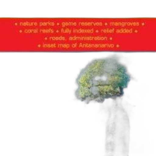 tree, umbrella, forest, fire transparent PNG cut-out