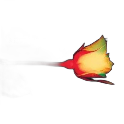 flower, weapon, umbrella, staff transparent PNG cut-out