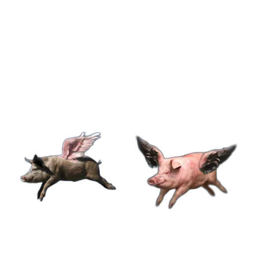 animal, creature, food, crown transparent PNG cut-out