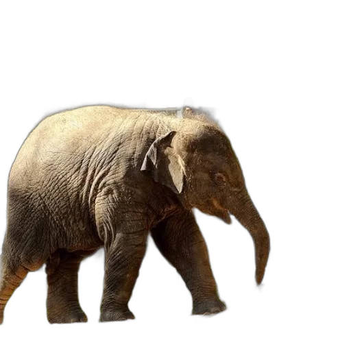 animal, creature, weapon, staff transparent PNG cut-out