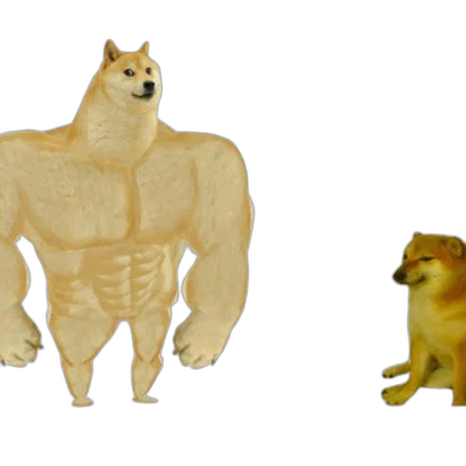 animal, creature, food, furniture transparent PNG cut-out