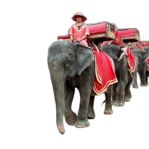 concept art, 3d render, person, rides transparent PNG cut-out