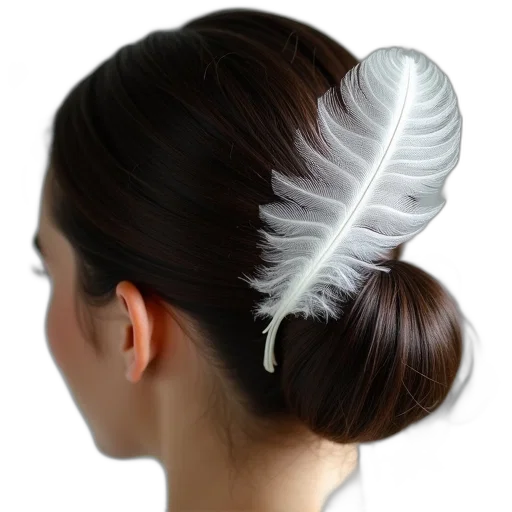 hat, crown, hair, jewelry transparent PNG cut-out