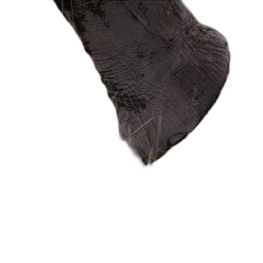 shoes, hat, hair, mask transparent PNG cut-out