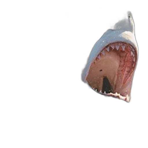 creature, animal, mask, hat transparent PNG cut-out
