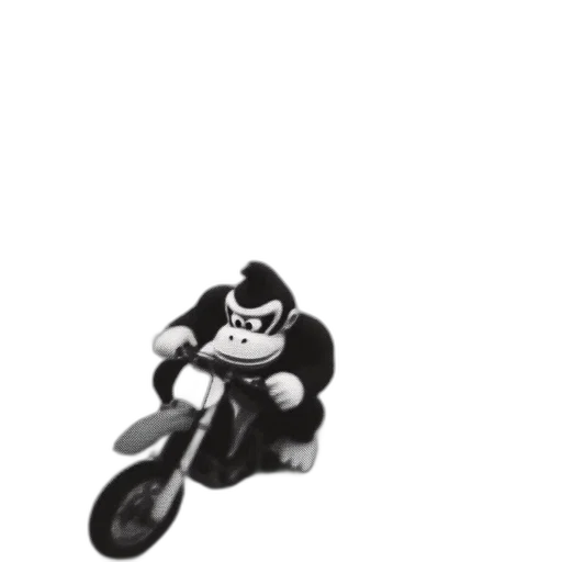 animal, creature, jacket, car transparent PNG cut-out