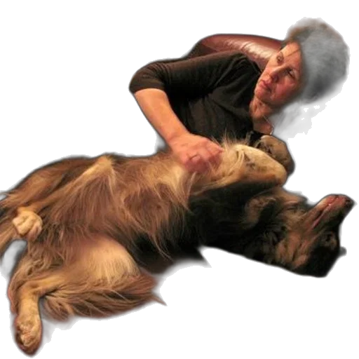 animal, hair, creature, staff transparent PNG cut-out