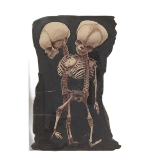 jacket, mask, food, furniture transparent PNG cut-out