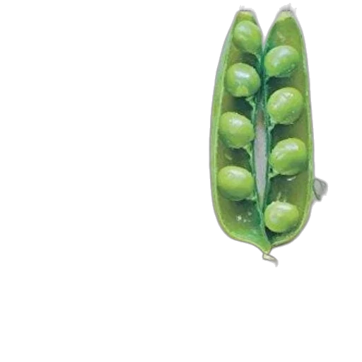 food, jewelry, crown, weapon transparent PNG cut-out