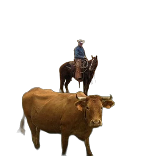 animal, hat, creature, robot transparent PNG cut-out