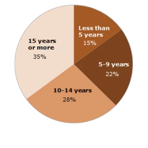 pie, chart, showing, distribution transparent PNG cut-out