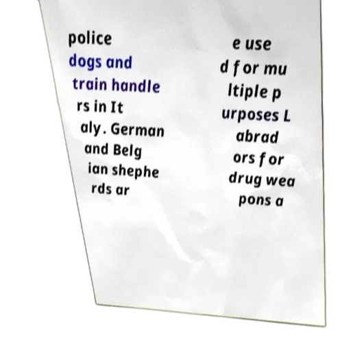 weapon, bottle, text-based, image transparent PNG cut-out