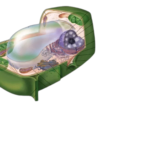 furniture, crown, mask, jewelry transparent PNG cut-out