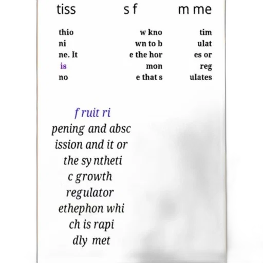 staff, jewelry, sword, fog transparent PNG cut-out