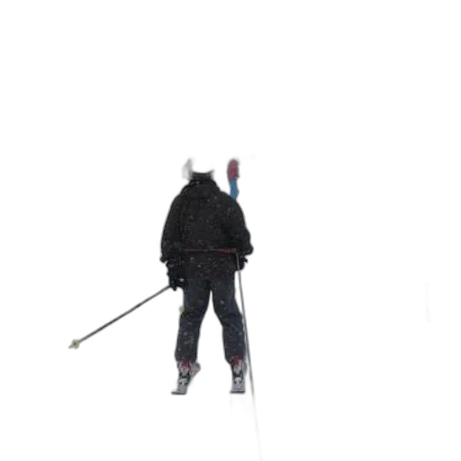 staff, animal, sword, jacket transparent PNG cut-out
