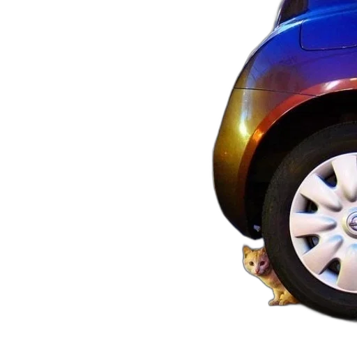car, shoes, jewelry, umbrella transparent PNG cut-out