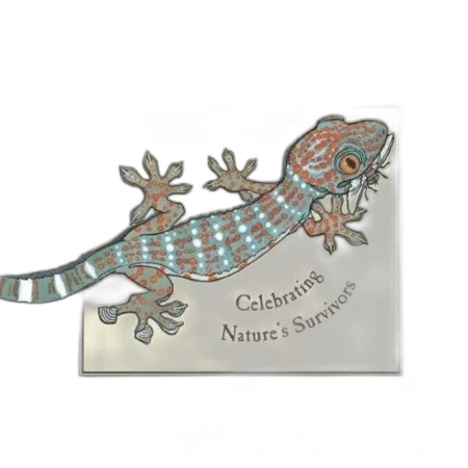 dragon, ubiquitous, celebrating, nature transparent PNG cut-out