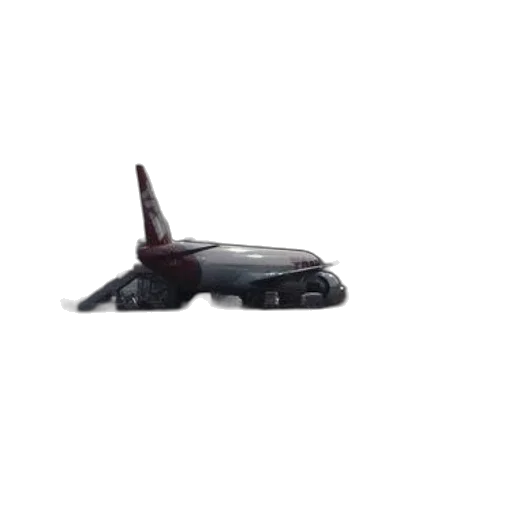 car, shoes, weapon, animal transparent PNG cut-out