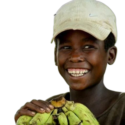 animal, hat, face, food transparent PNG cut-out