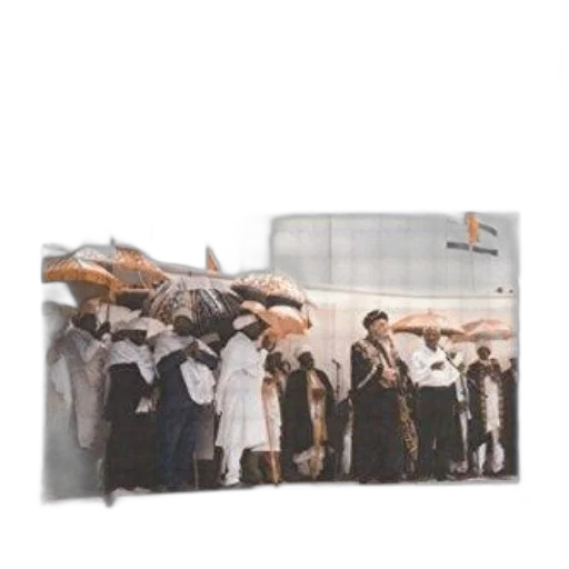 umbrella, staff, weapon, jacket transparent PNG cut-out