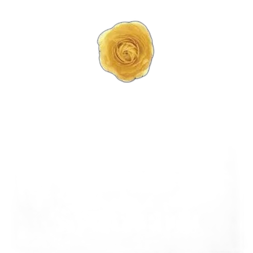 flower, jewelry, hat, crown transparent PNG cut-out