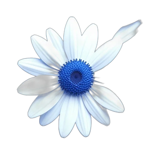 flower, crown, jewelry, weapon transparent PNG cut-out