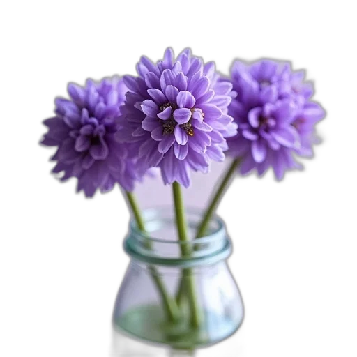 flower, crown, bottle, weapon transparent PNG cut-out
