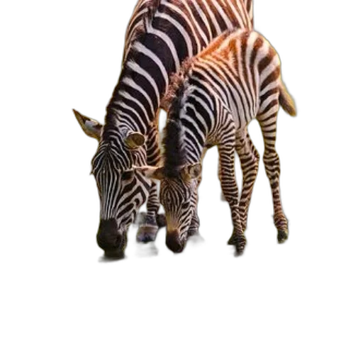 animal, creature, staff, weapon transparent PNG cut-out