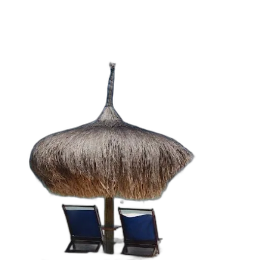 hat, hair, furniture, crown transparent PNG cut-out