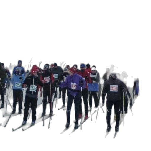 group, skiers, lined, snow transparent PNG cut-out