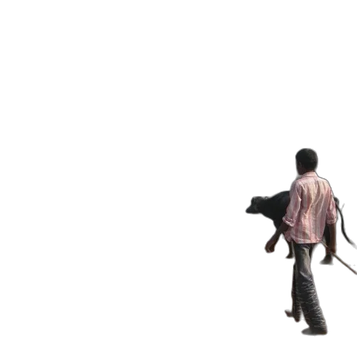 staff, weapon, umbrella, sword transparent PNG cut-out
