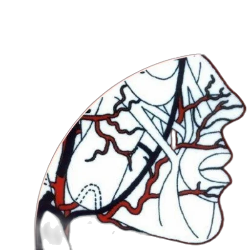 crown, jewelry, mask, face transparent PNG cut-out