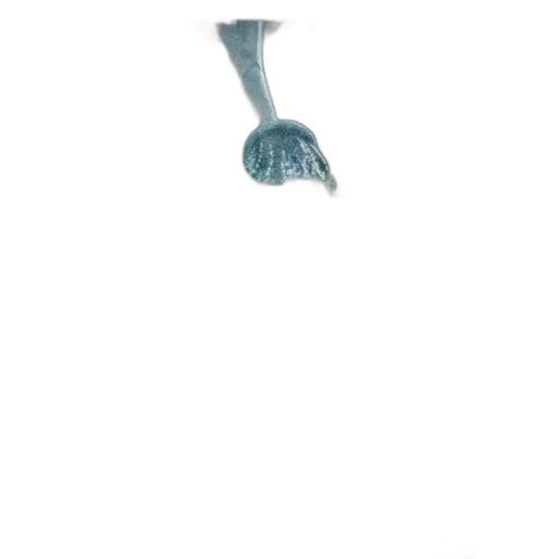 umbrella, weapon, staff, sword transparent PNG cut-out