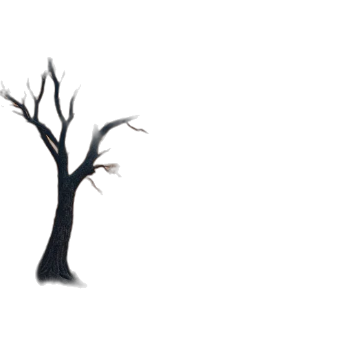 tree, creature, hair, crown transparent PNG cut-out