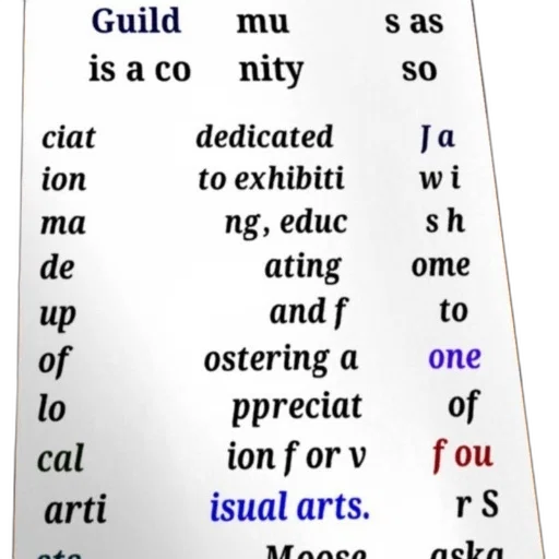 jewelry, image, features, poster transparent PNG cut-out