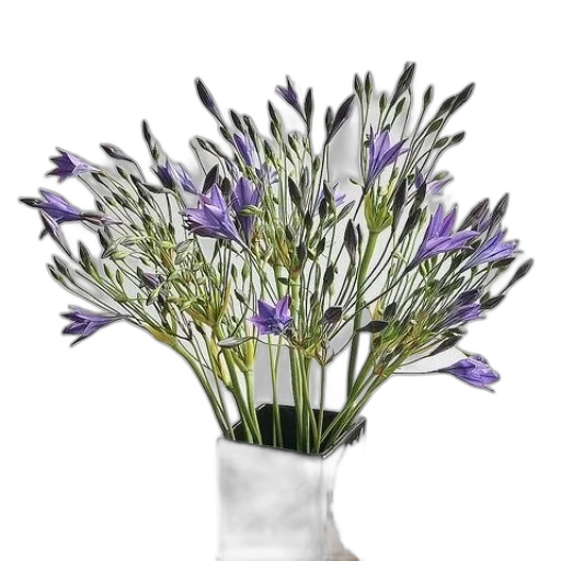 flower, crown, staff, hat transparent PNG cut-out