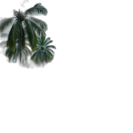 tree, umbrella, hair, weapon transparent PNG cut-out