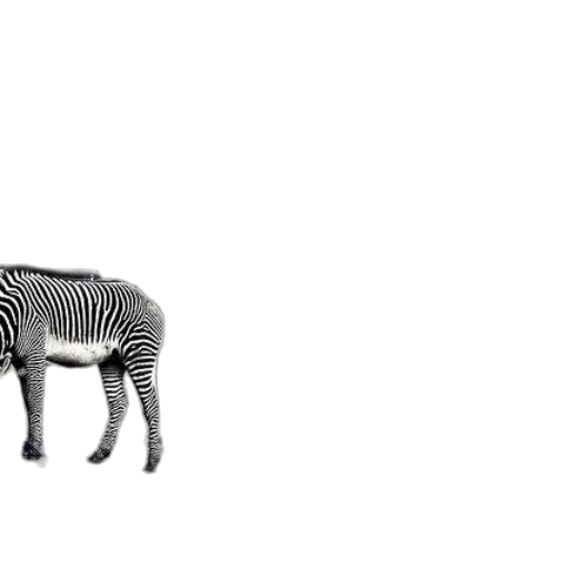 animal, creature, furniture, robot transparent PNG cut-out