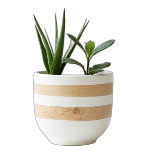 furniture, 3d render, earth tones, small transparent PNG cut-out
