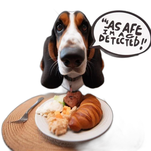 food, animal, basset, hound transparent PNG cut-out