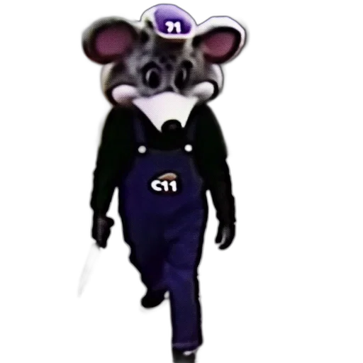 animal, creature, jacket, hat transparent PNG cut-out